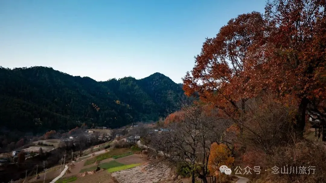 10公里翻山路的艰辛，结束于山顶牧场的小木屋——记徒步格瓦木大环线之旅 - 第4张