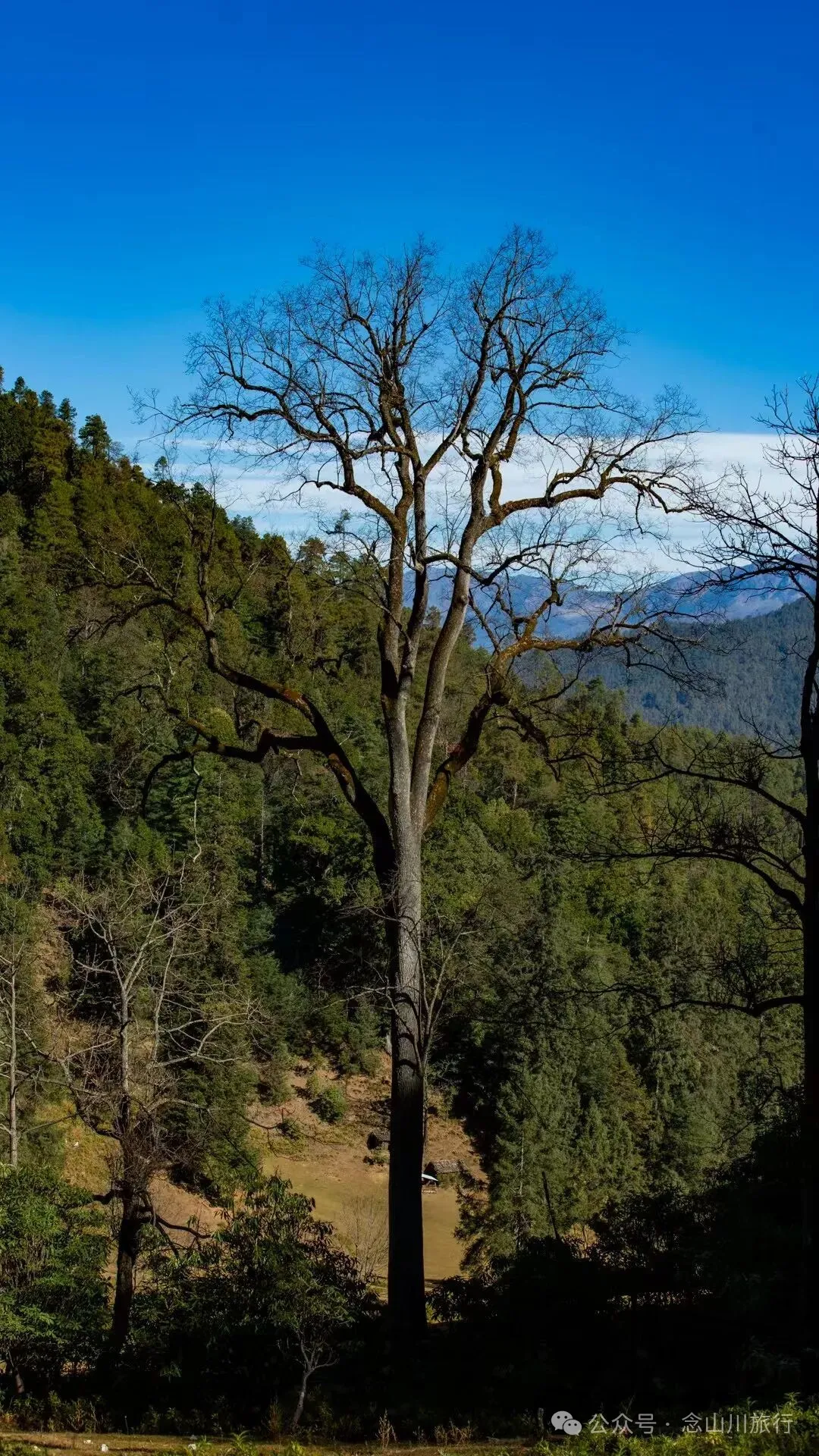 说主角是一个地名，整个山谷只有8户人家 - 第10张