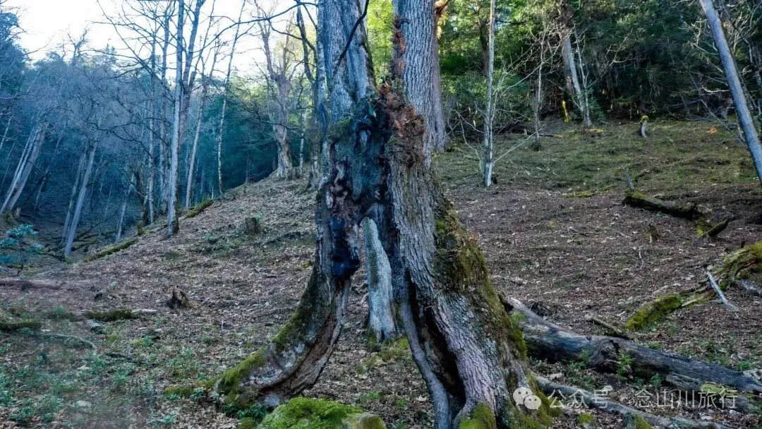 说主角是一个地名，整个山谷只有8户人家 - 第13张