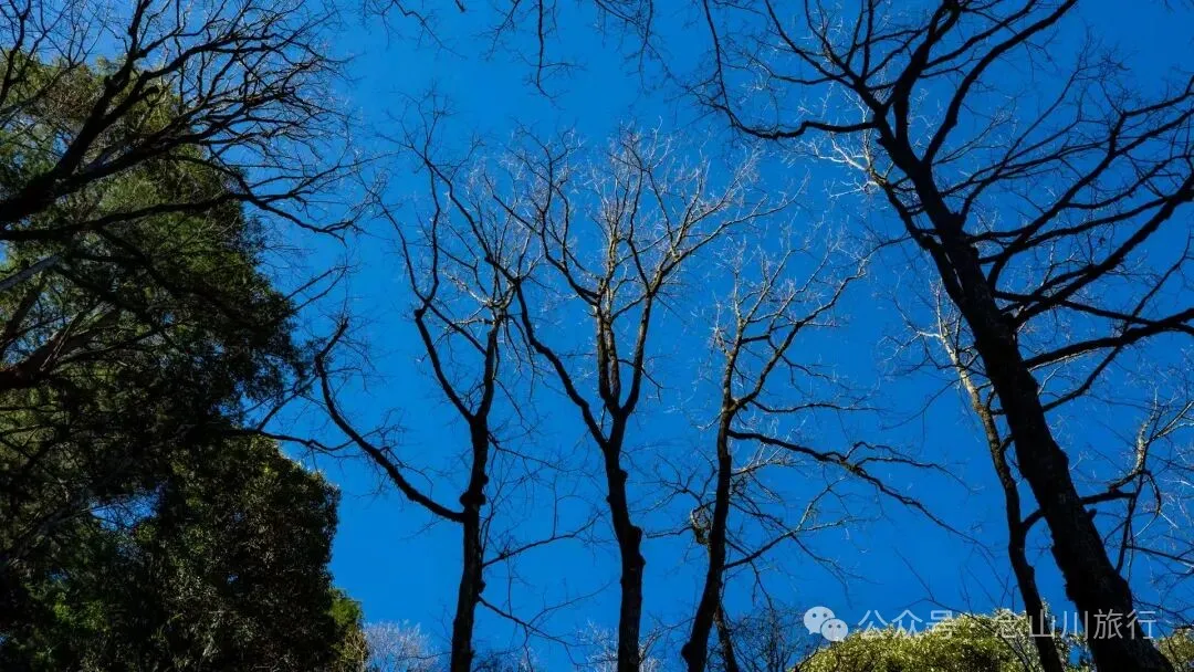 说主角是一个地名，整个山谷只有8户人家 - 第14张