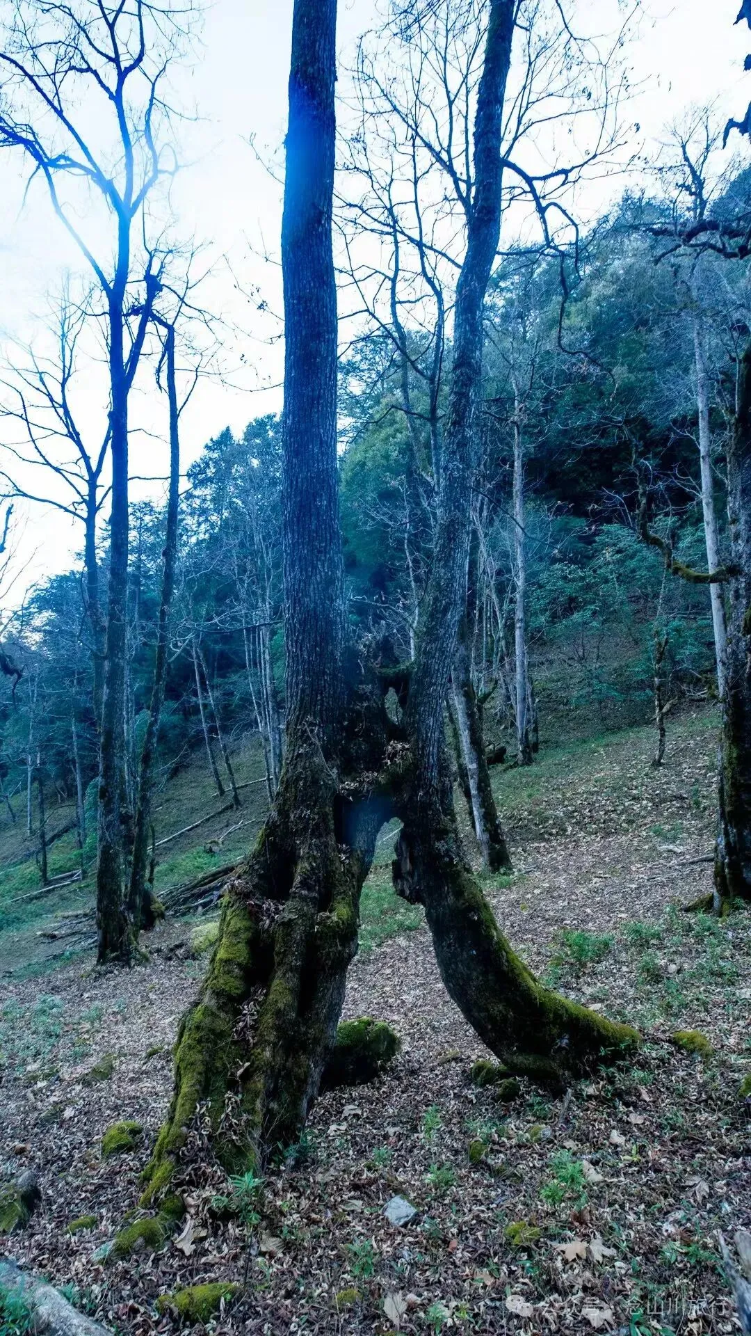 说主角是一个地名，整个山谷只有8户人家 - 第15张