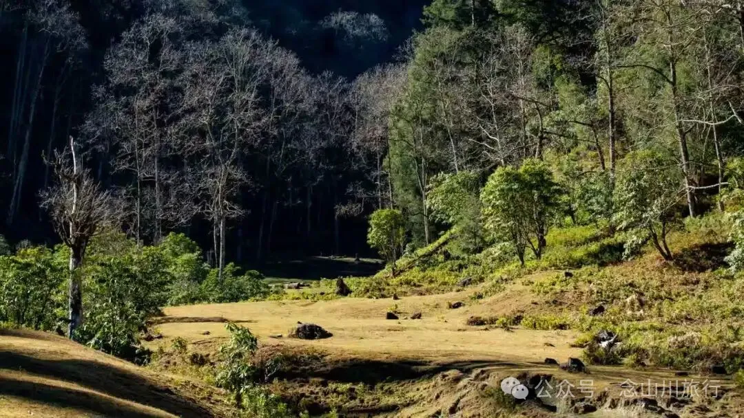 说主角是一个地名，整个山谷只有8户人家 - 第16张