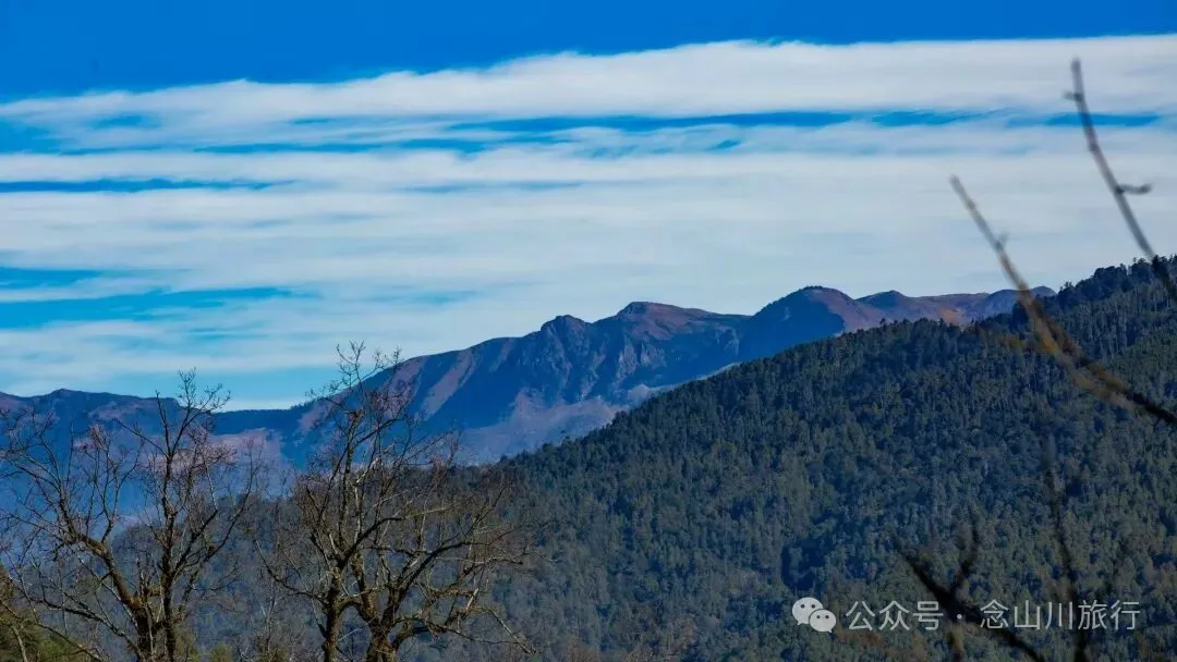 说主角是一个地名，整个山谷只有8户人家 - 第19张