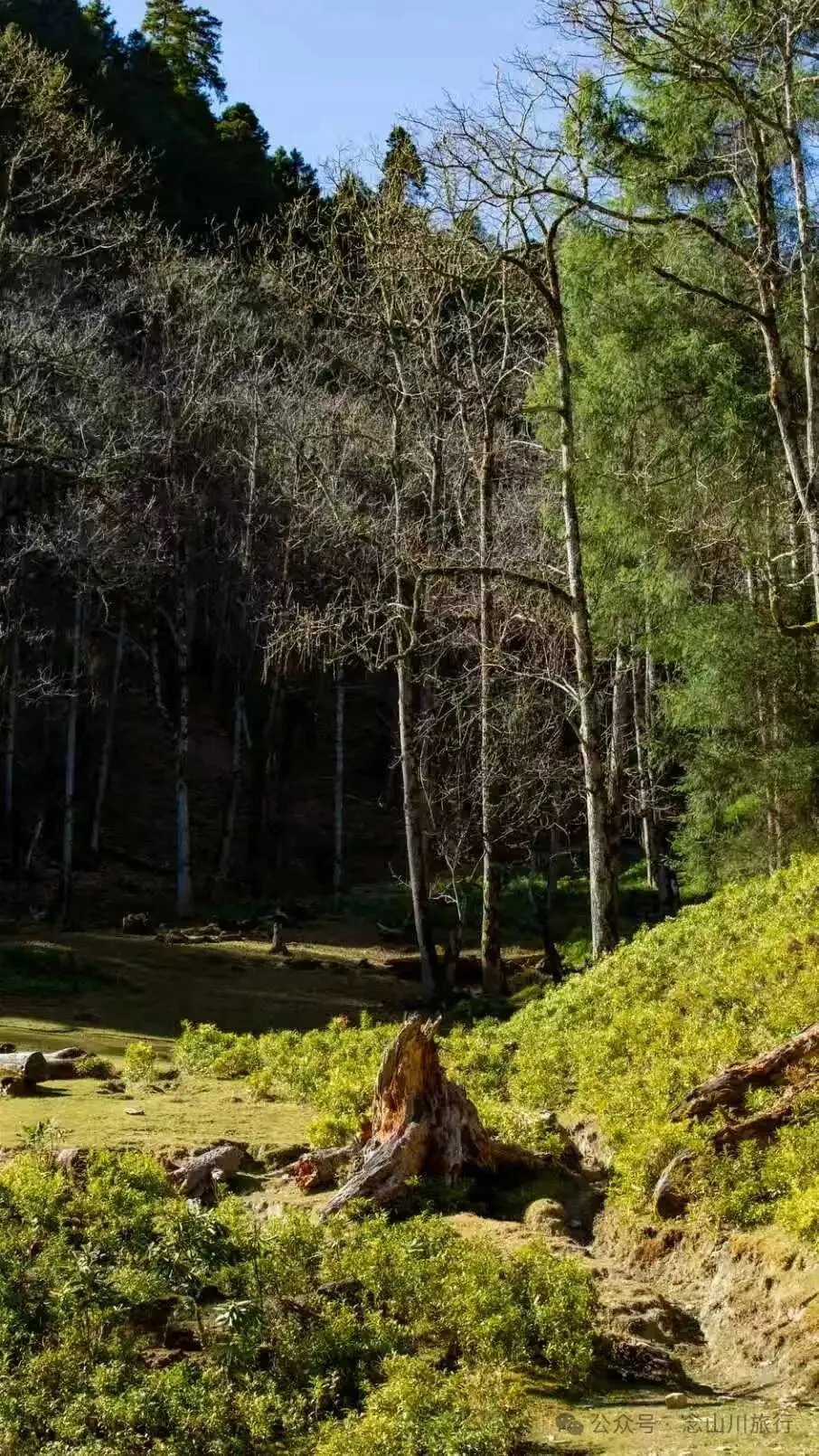 说主角是一个地名，整个山谷只有8户人家 - 第20张