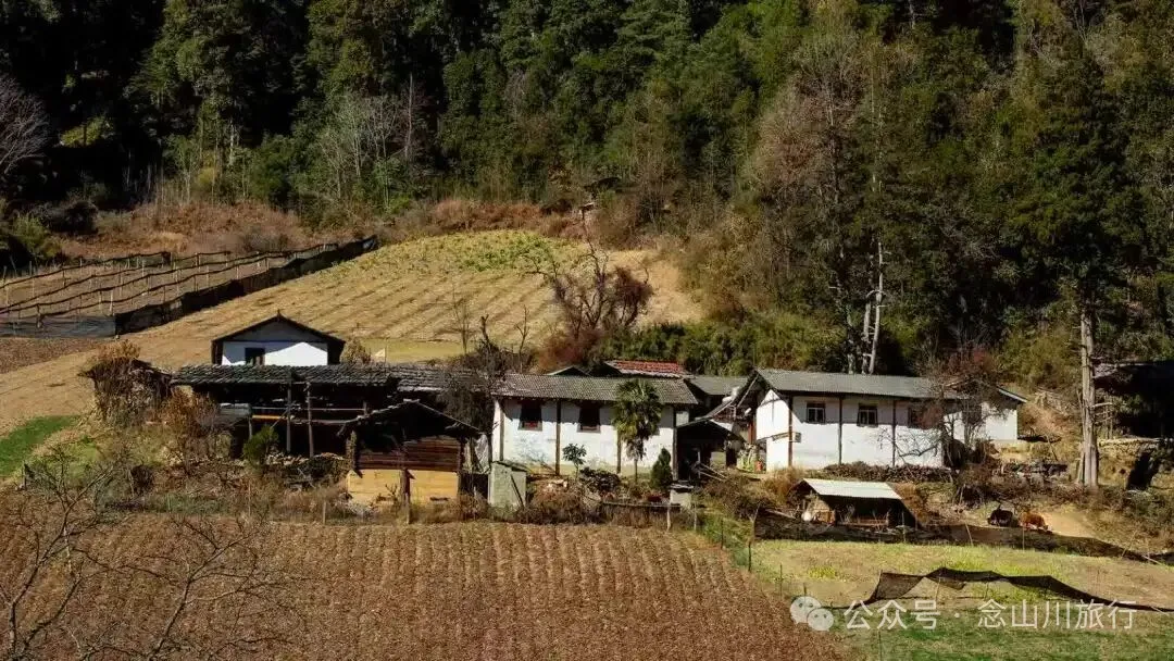 说主角是一个地名，整个山谷只有8户人家 - 第24张