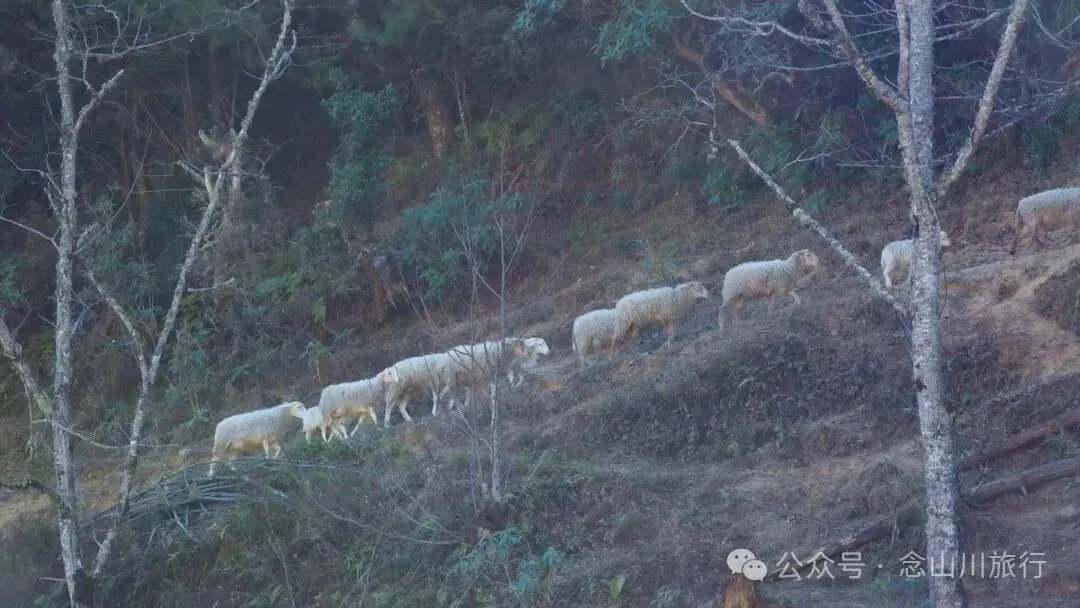 说主角是一个地名，整个山谷只有8户人家 - 第25张