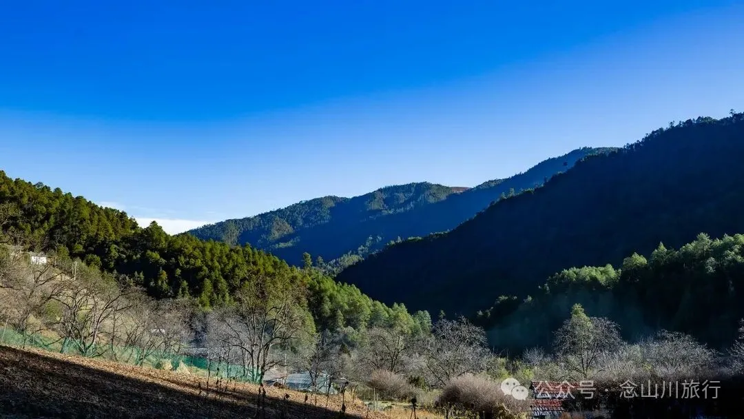 说主角是一个地名，整个山谷只有8户人家 - 第4张