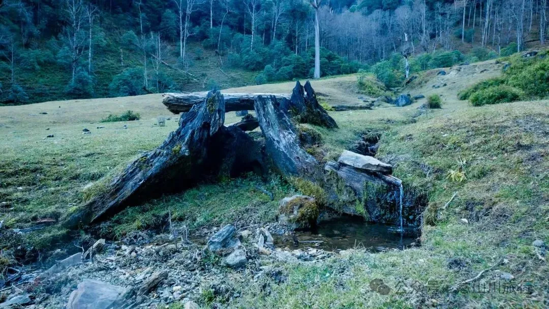 说主角是一个地名，整个山谷只有8户人家 - 第6张