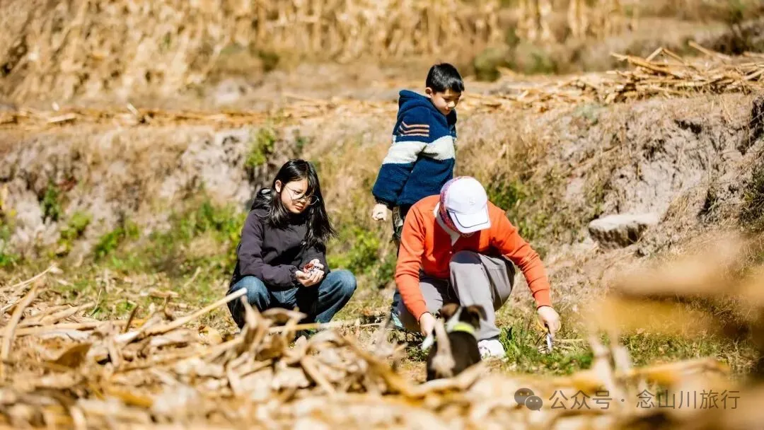 冬日山中的4件乐事：挖荠于野，汲泉煮茶，林下赏花，寒烟落霞 - 第1张