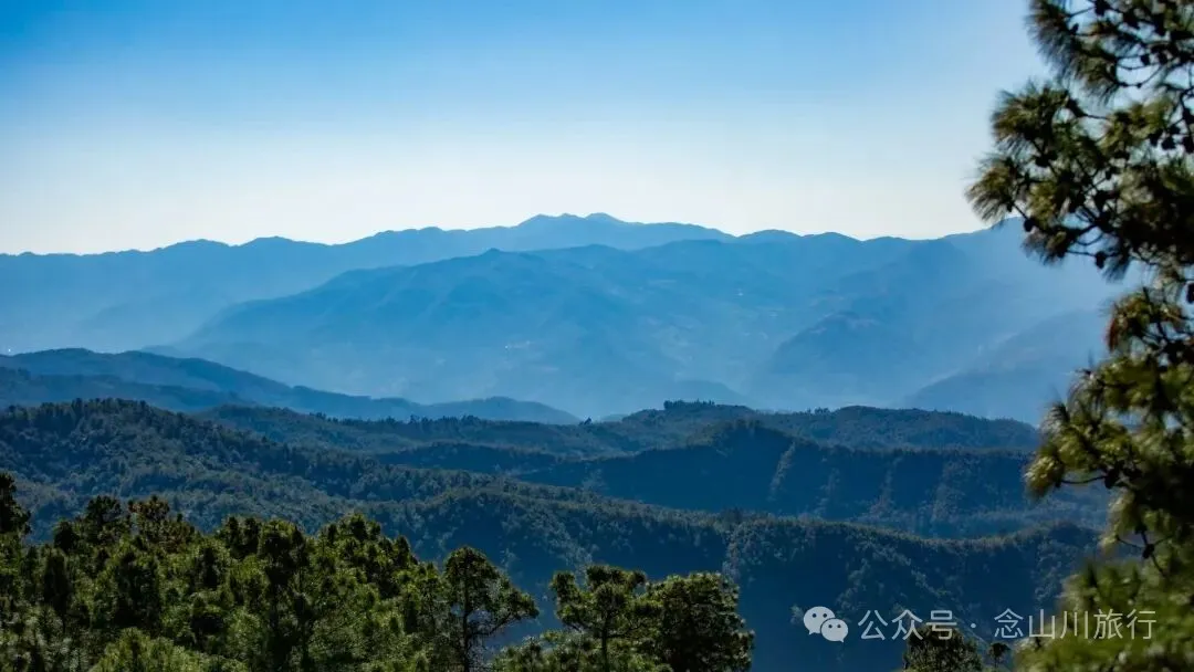 冬日山中的4件乐事：挖荠于野，汲泉煮茶，林下赏花，寒烟落霞 - 第10张