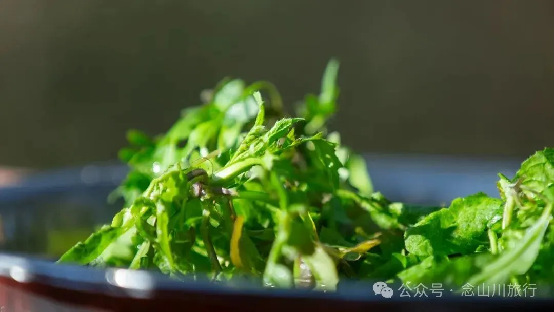 冬日山中的4件乐事：挖荠于野，汲泉煮茶，林下赏花，寒烟落霞 - 第2张