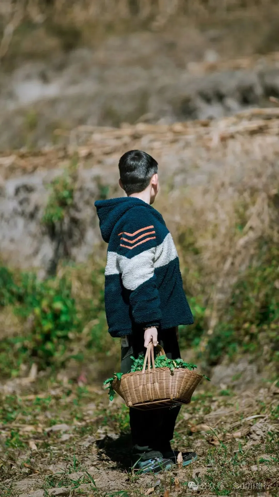 冬日山中的4件乐事：挖荠于野，汲泉煮茶，林下赏花，寒烟落霞 - 第3张