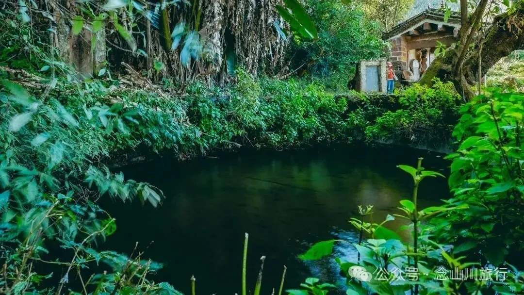 冬日山中的4件乐事：挖荠于野，汲泉煮茶，林下赏花，寒烟落霞 - 第4张