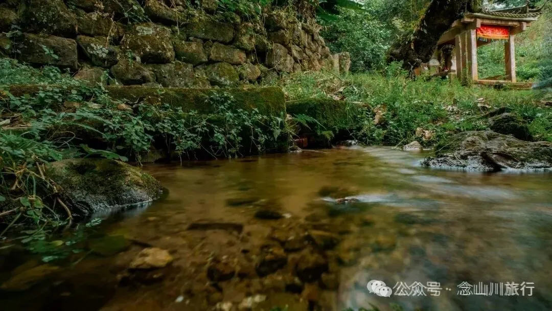 冬日山中的4件乐事：挖荠于野，汲泉煮茶，林下赏花，寒烟落霞 - 第5张