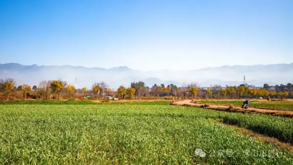 大理巍山南山村前的田园风光:冬日暖阳里萌动的春意