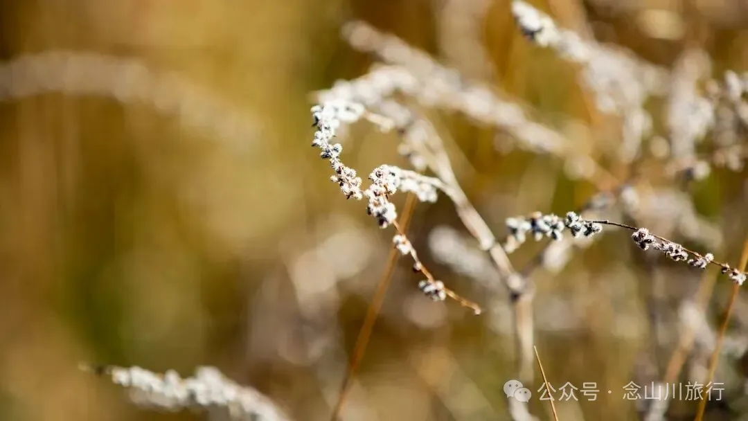 巍山冬季牧场 - 第11张