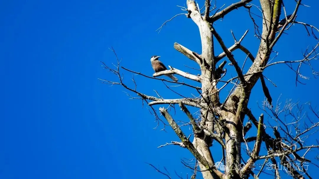 巍山冬季牧场 - 第12张