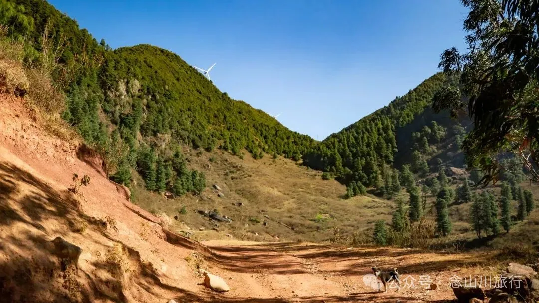 巍山冬季牧场 - 第2张