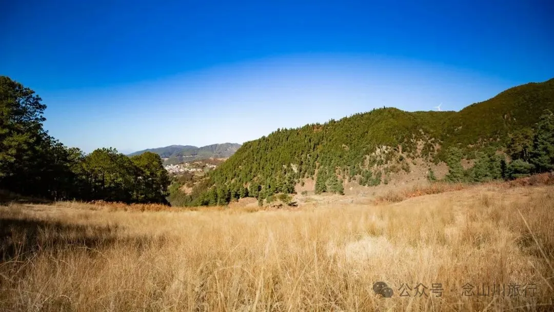 巍山冬季牧场 - 第4张