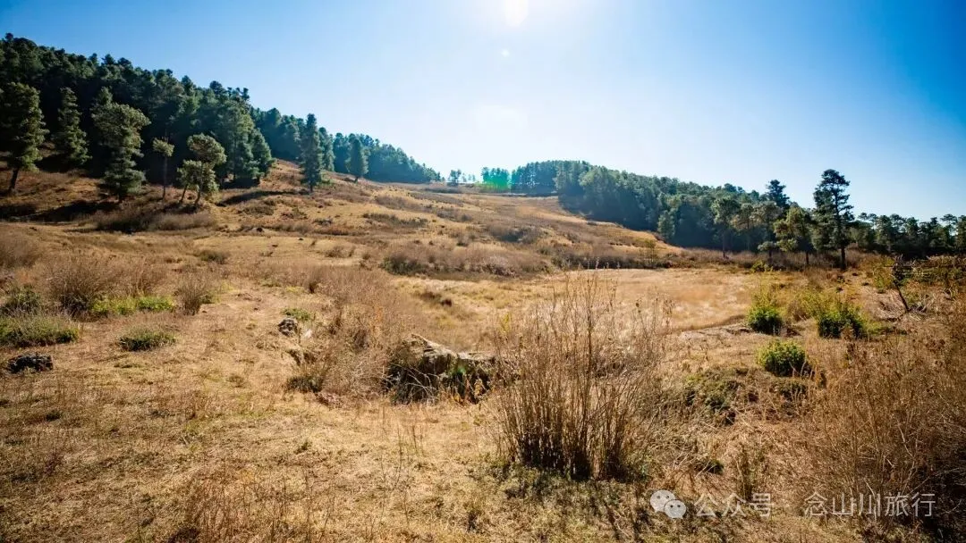 巍山冬季牧场 - 第5张