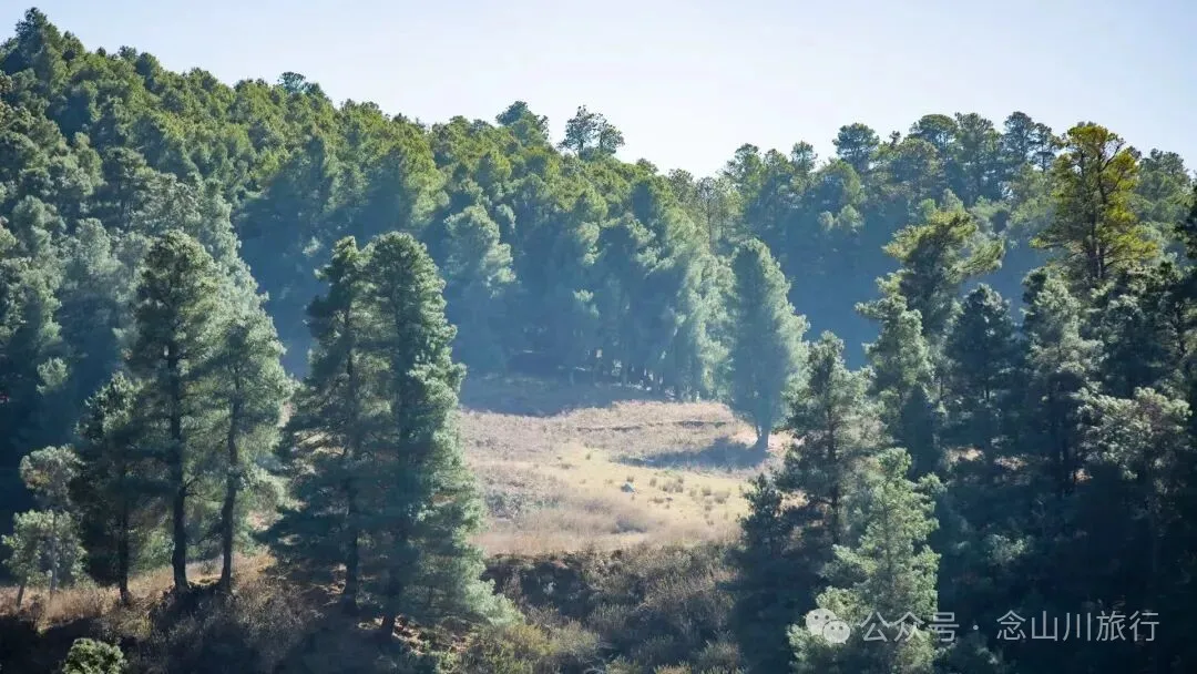 巍山冬季牧场 - 第6张