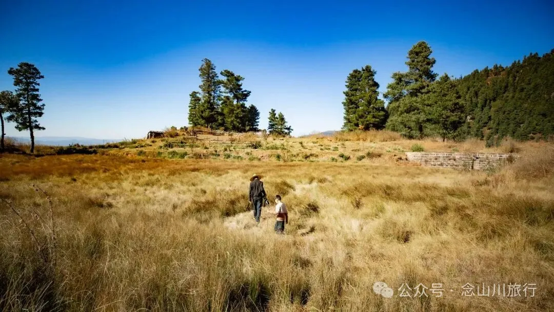 巍山冬季牧场 - 第9张