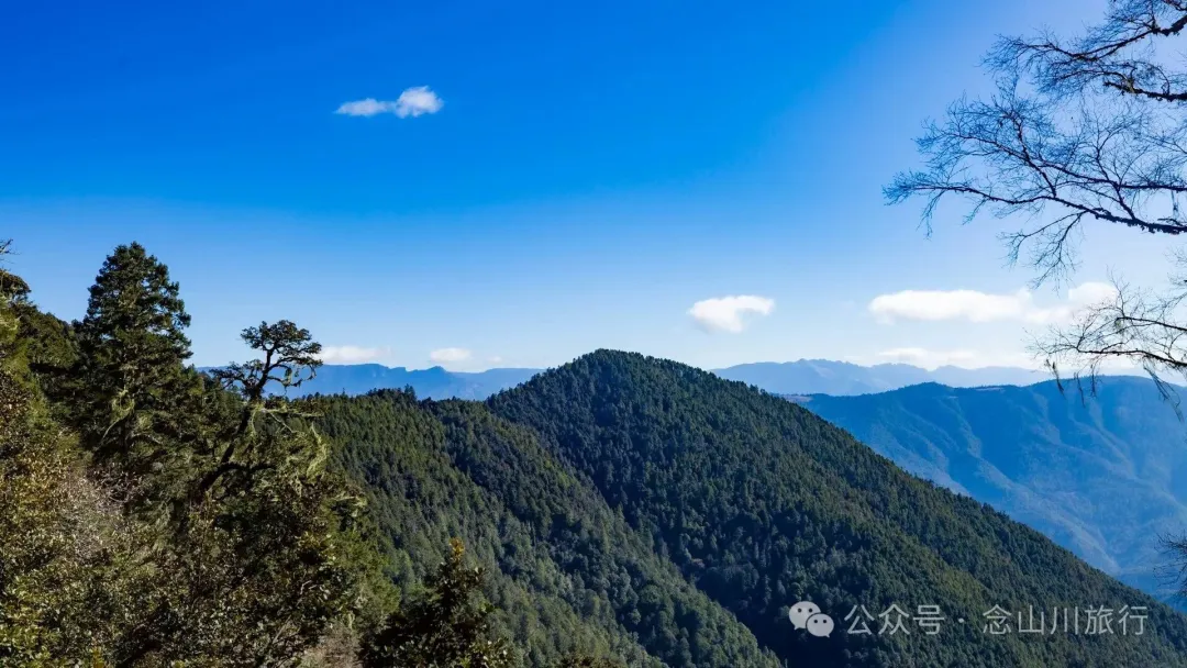 叶久山川，没有黑熊，却有山神啜饮的痕迹 - 第1张