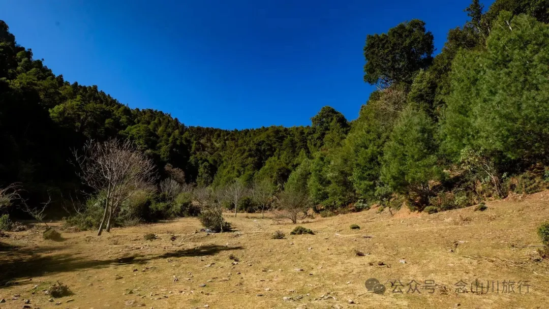 叶久山川，没有黑熊，却有山神啜饮的痕迹 - 第10张