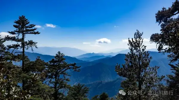 叶久山川,没有黑熊,却有山神啜饮的痕迹