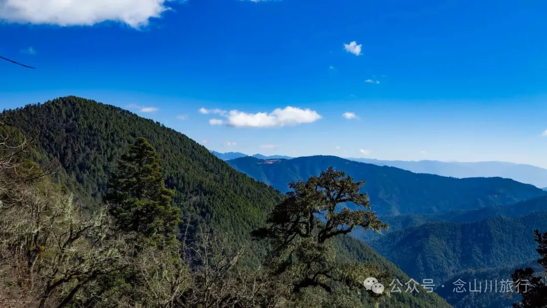 叶久山川，没有黑熊，却有山神啜饮的痕迹 - 第16张