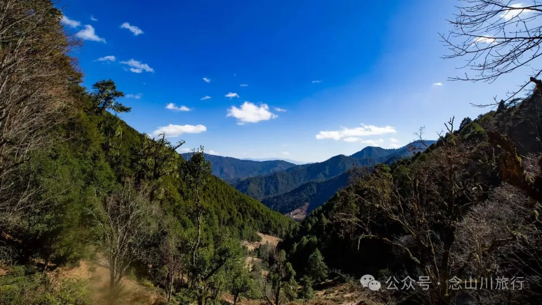 叶久山川，没有黑熊，却有山神啜饮的痕迹 - 第17张