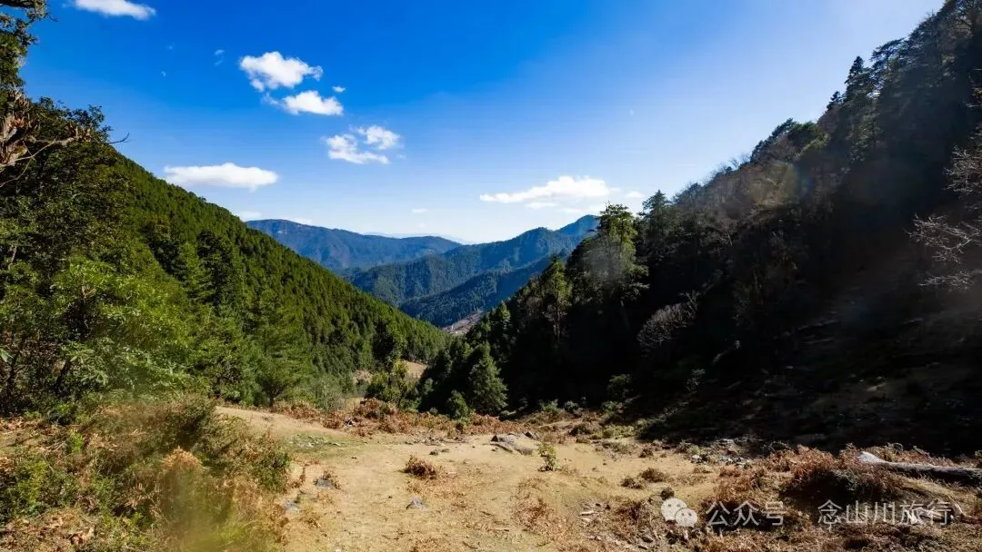 叶久山川，没有黑熊，却有山神啜饮的痕迹 - 第18张