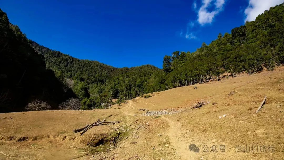 叶久山川，没有黑熊，却有山神啜饮的痕迹 - 第19张