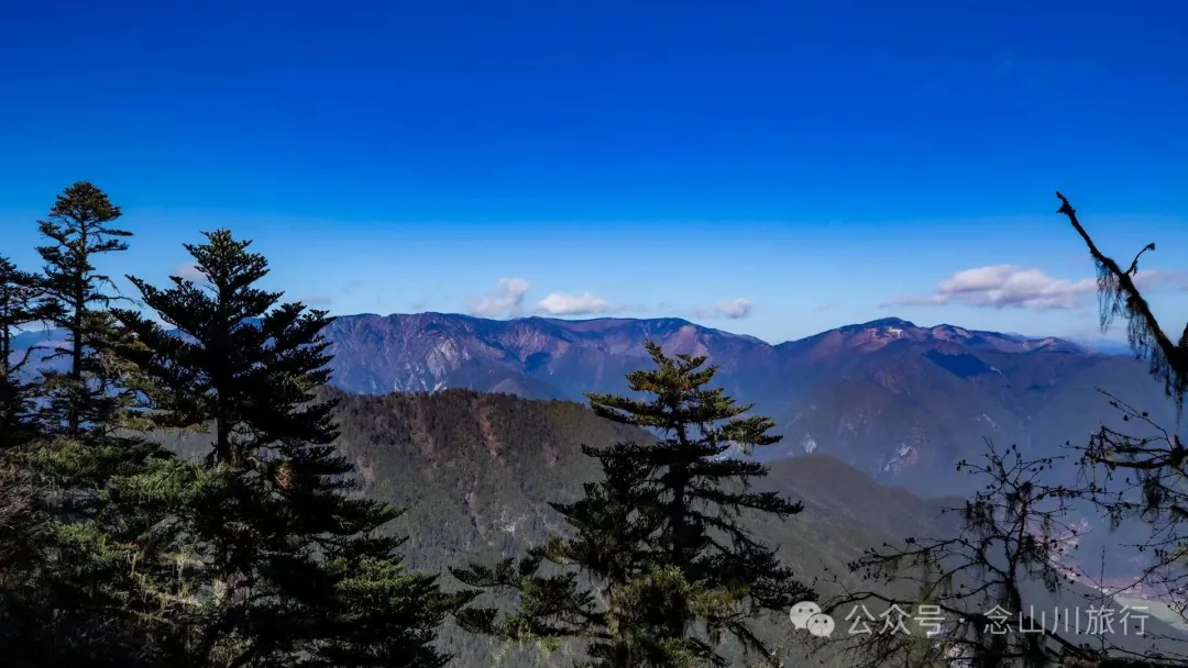 叶久山川，没有黑熊，却有山神啜饮的痕迹 - 第2张