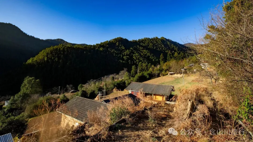 叶久山川，没有黑熊，却有山神啜饮的痕迹 - 第4张