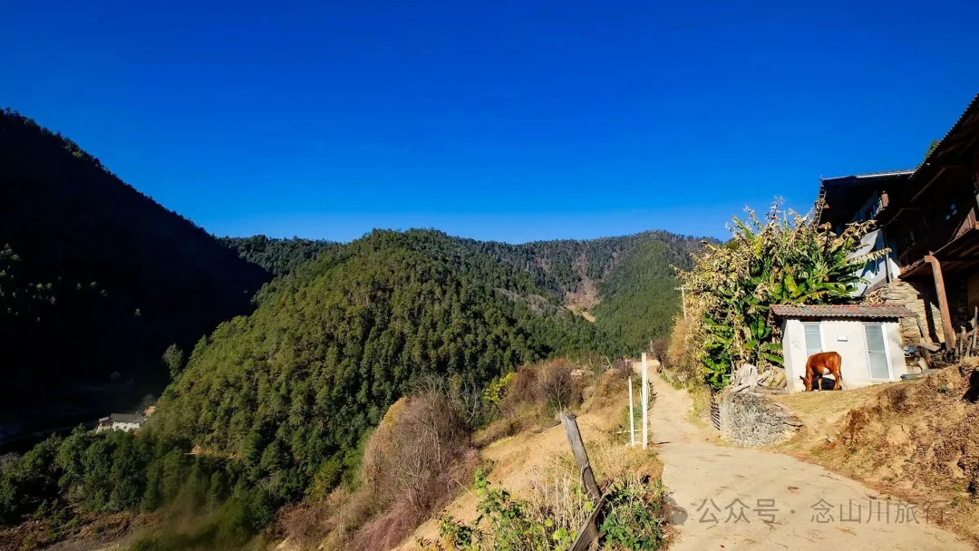 叶久山川，没有黑熊，却有山神啜饮的痕迹 - 第6张