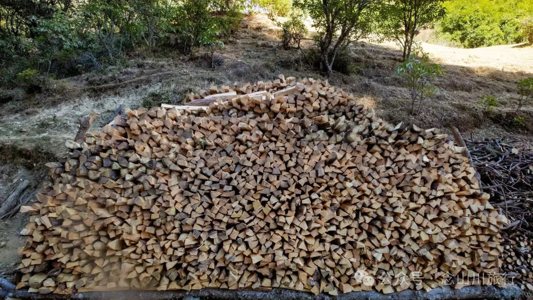 叶久山川，没有黑熊，却有山神啜饮的痕迹 - 第7张
