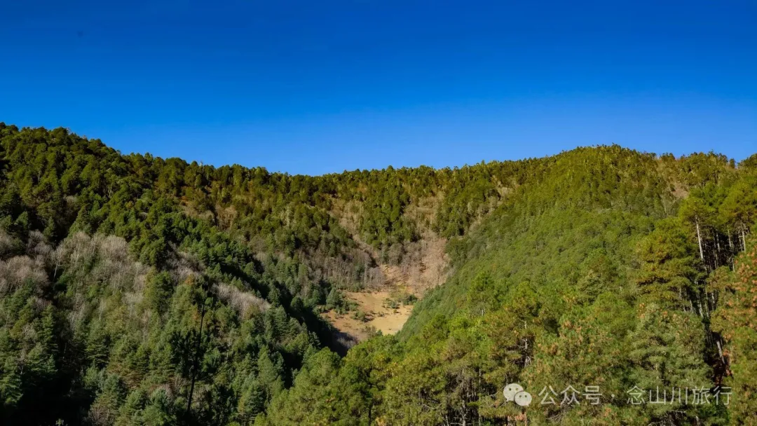 叶久山川，没有黑熊，却有山神啜饮的痕迹 - 第8张