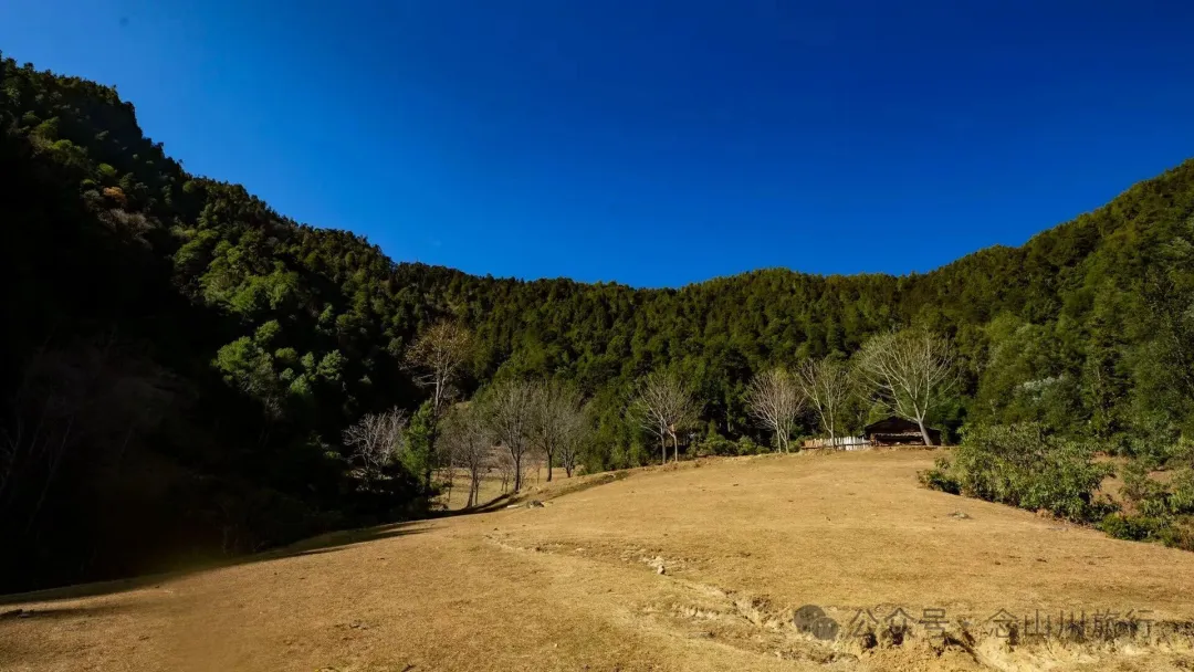 叶久山川，没有黑熊，却有山神啜饮的痕迹 - 第9张