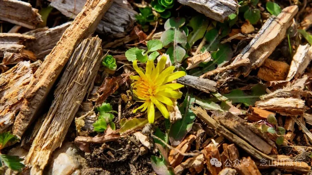 云南冬日，隐居山中：一条环线徒步的沉静旅程 - 第17张