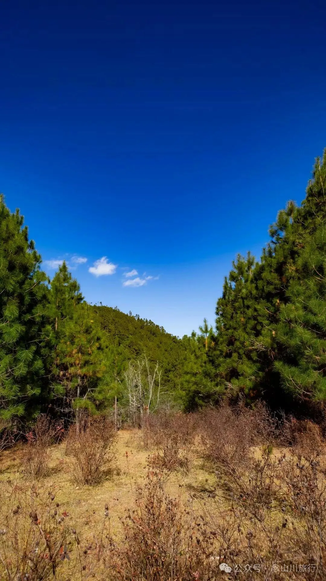 云南冬日，隐居山中：一条环线徒步的沉静旅程 - 第18张
