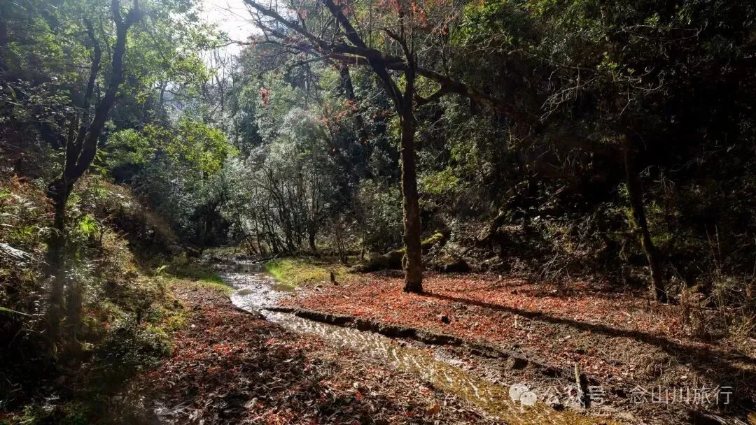 云南冬日，隐居山中：一条环线徒步的沉静旅程 - 第19张