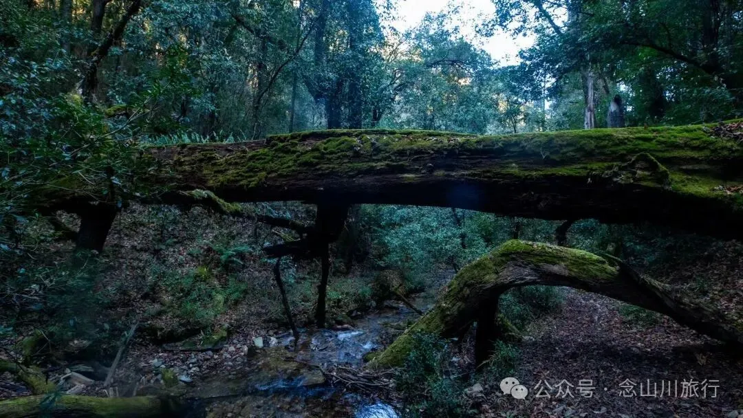 云南冬日，隐居山中：一条环线徒步的沉静旅程 - 第2张