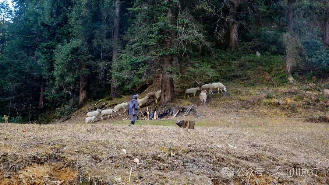 云南冬日，隐居山中：一条环线徒步的沉静旅程 - 第23张