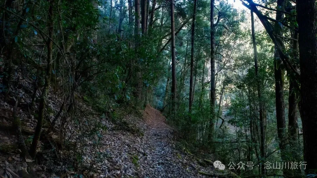 云南冬日，隐居山中：一条环线徒步的沉静旅程 - 第4张