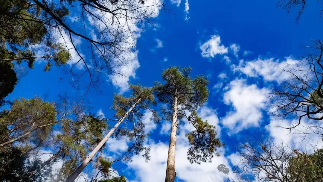 云南冬日，隐居山中：一条环线徒步的沉静旅程 - 第5张