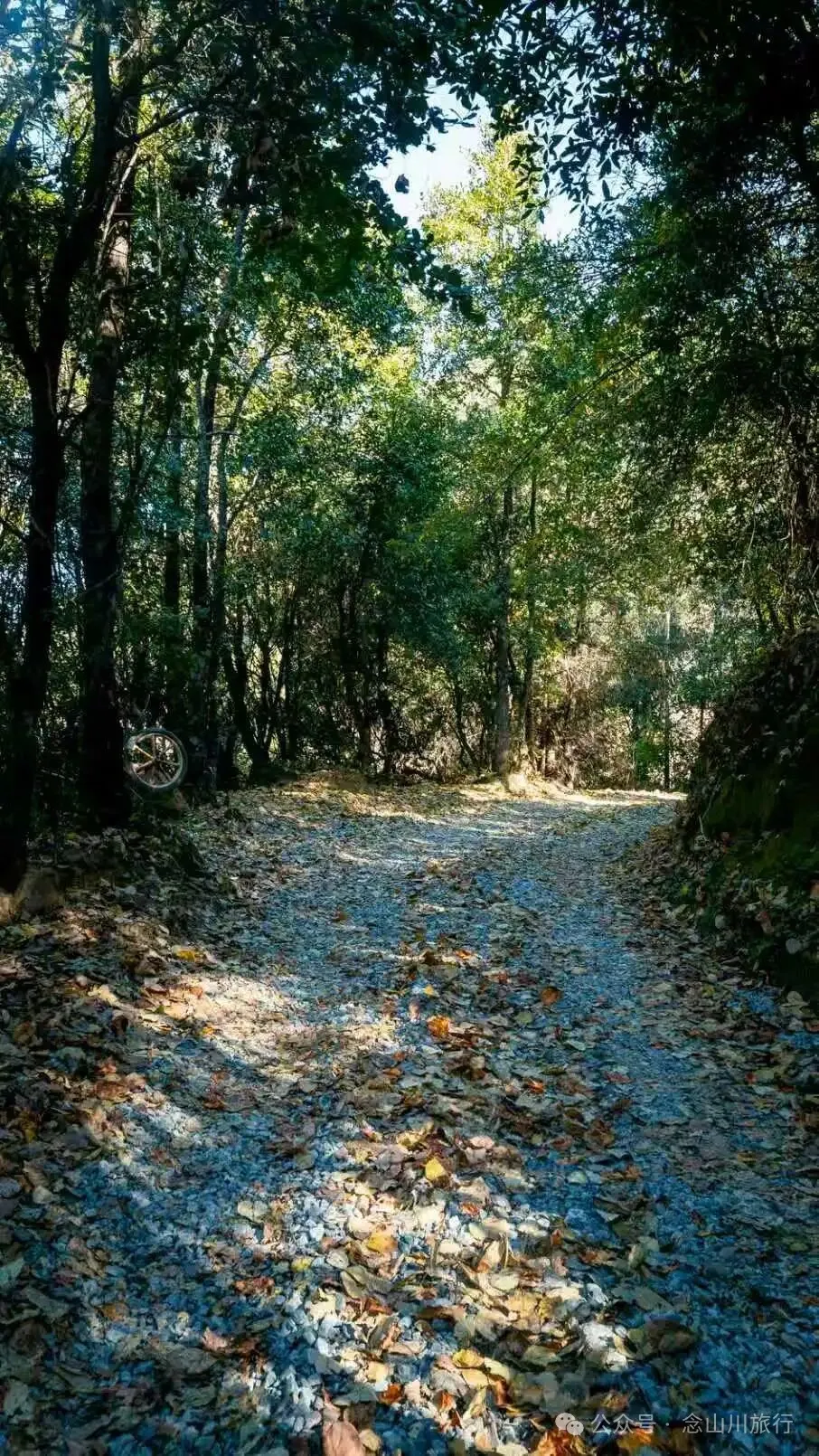 藏房慢记：阳光，炉火，与不期而遇的暖 - 第21张