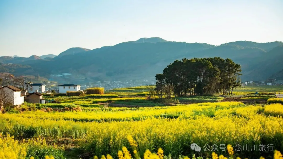 保山隆阳区丙麻乡油菜花|土夯小屋，远山淡烟，夕阳花田，这是谁的美好故乡呢 - 第12张