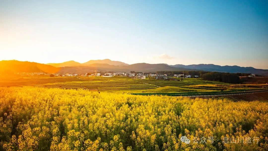 保山隆阳区丙麻乡油菜花|土夯小屋，远山淡烟，夕阳花田，这是谁的美好故乡呢 - 第18张