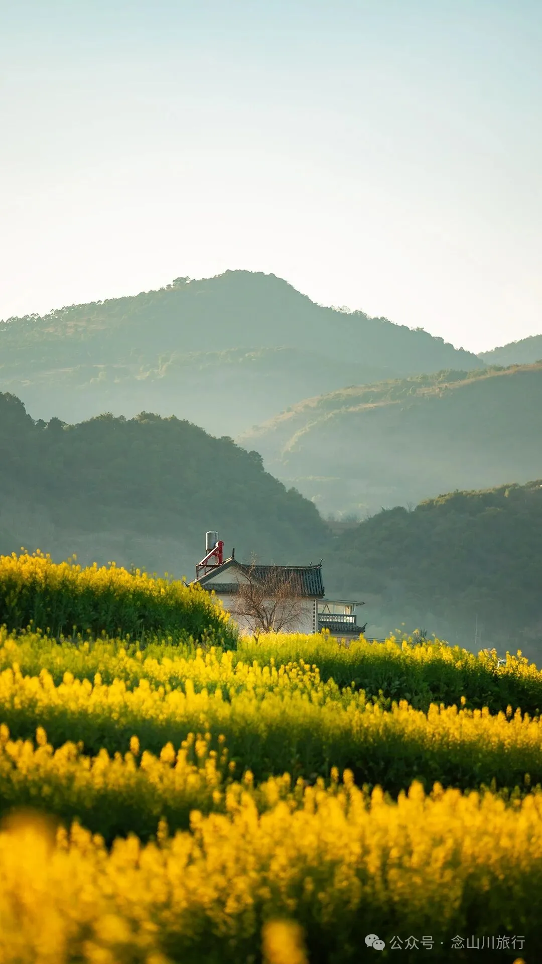 保山隆阳区丙麻乡油菜花|土夯小屋，远山淡烟，夕阳花田，这是谁的美好故乡呢 - 第20张